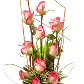 Amor_small