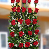 Serenatta_small