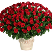 180rosas_small