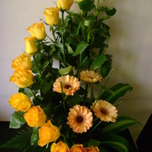 Copia_de_dsc06259_small