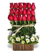 Cororosas_small