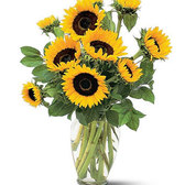 Florerogirasoles_small