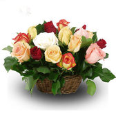 Canasmultirosas_small