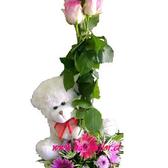 Rosasyunabrazo_small