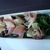 Caja_orquideas_small
