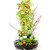 Orquidea_cristal_mini