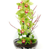 Orquidea_cristal_small