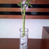 Cam00075_small