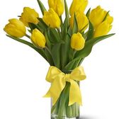 Tulipanes_de_verano_small