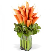 Arreglo7-naranja-500x590_small