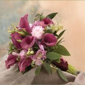Copia_de_calas_123_small