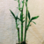 Lucky_6_varitas_mini